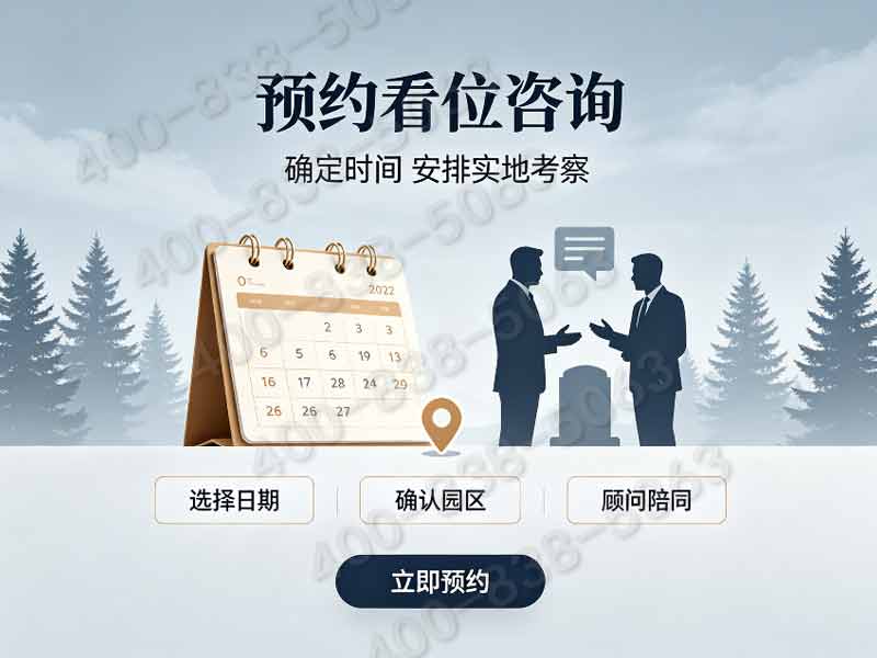 天寿陵园秋天的银杏大道走一趟满地金黄